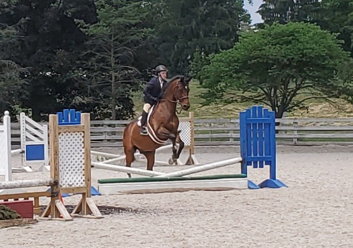 A rider and horse clear a low jump in an outdoor arena, with blue and white obstacles.